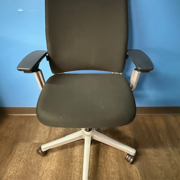 Steelcase Amia Chair