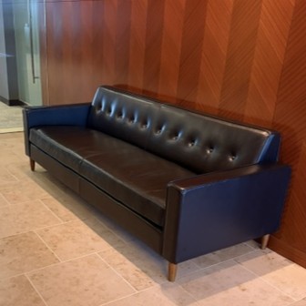 leather couch